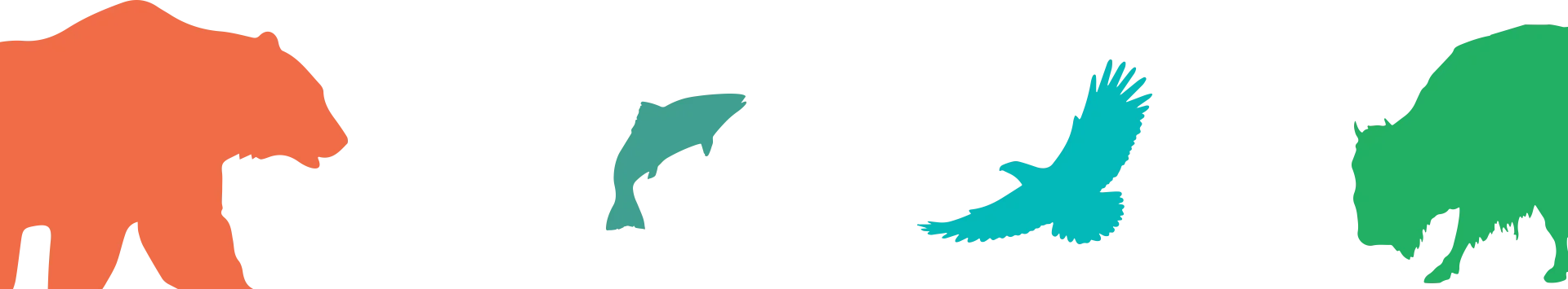 animal collage with different colors